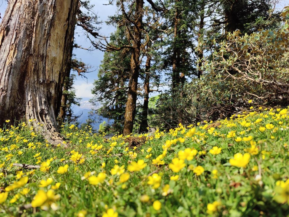 The Bunker House Hotel Chopta ภายนอก รูปภาพ